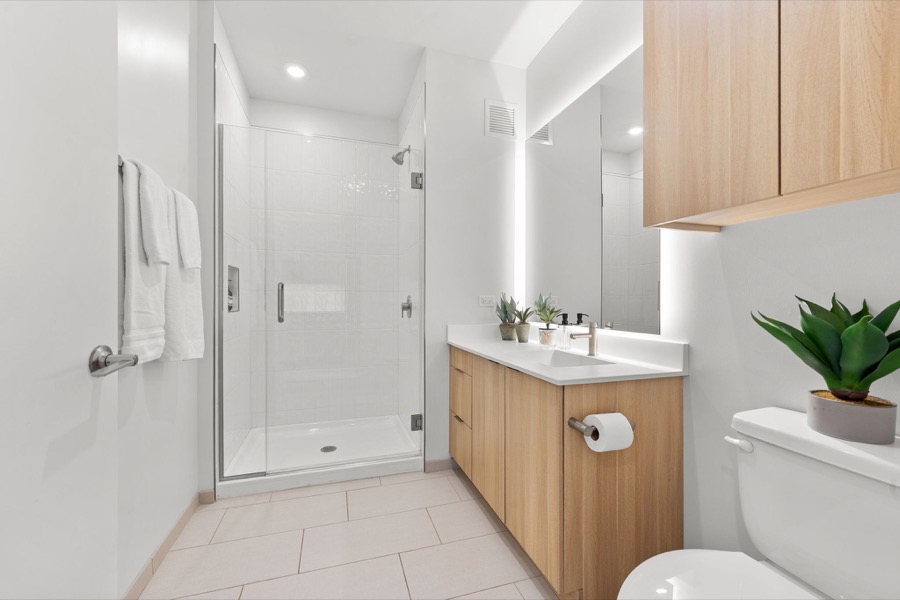 Bathroom with walk-in shower, Chicago condo